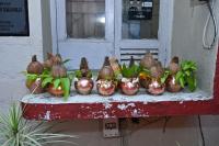 HH Swamiji arrives at Camp Nashik (22nd March 2026)